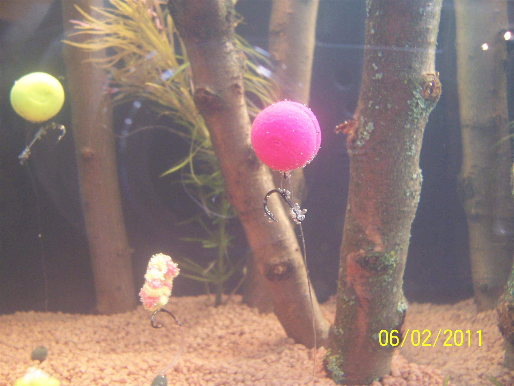 rig& baits - 1003765.JPG